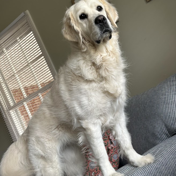 Boyfriend Hunter - Ruthie