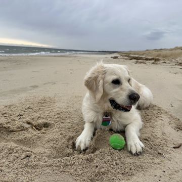 Day at the Beach - Ruthie