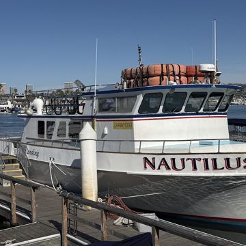 Whale Watch - Newport Beach, CA
